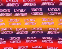 2nd Annual Lincoln Square Neighborhood Cookout